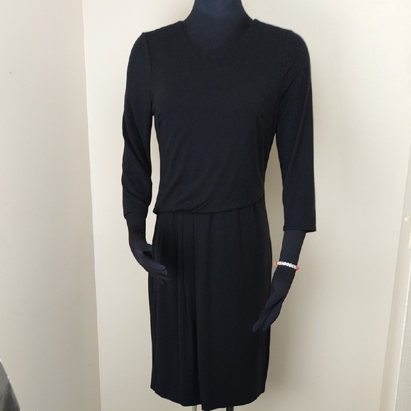 Ann Taylor Dresses & Skirts - Ann Taylor Petite Black Drop Waist Pleated Dress 3/4 Sleeve 10P